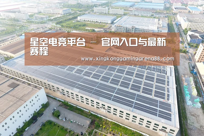 案例展示一