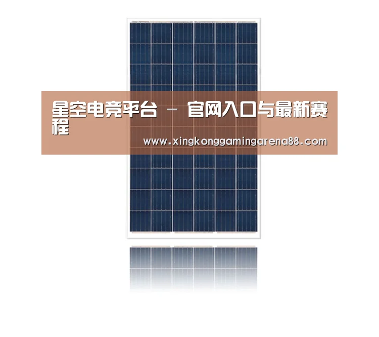 产品名称一