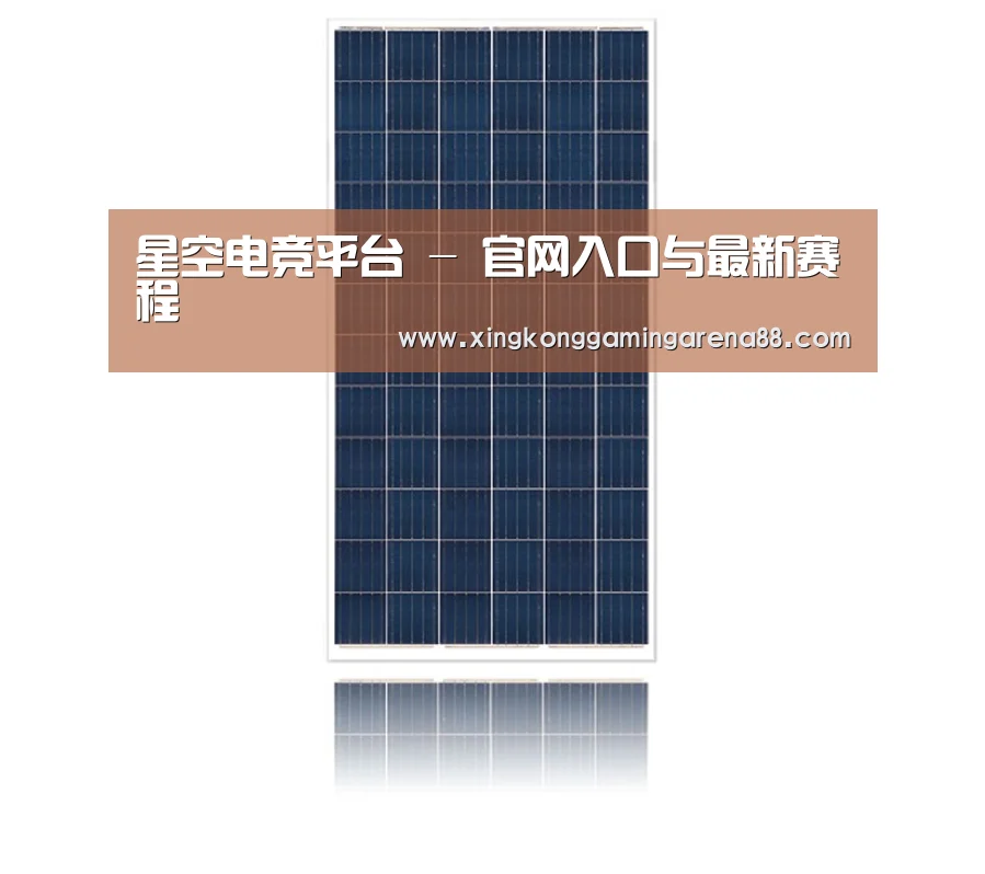 产品名称一
