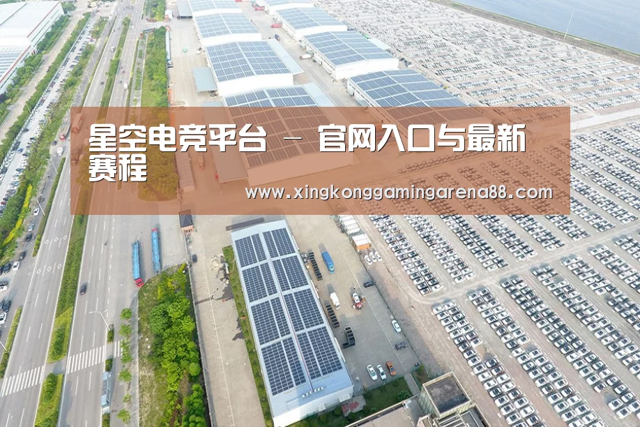案例展示二