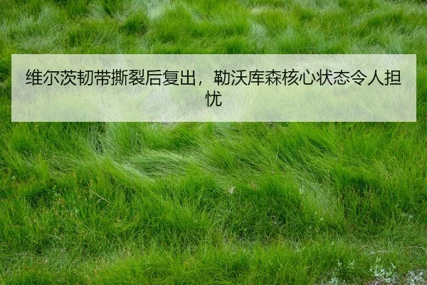 wei-er-ci-ren-dai-si-lie-hou-fu-chu-lei-wo-ku-sen-he-xin-zhuang-tai-ling-ren-dan-you-3-122.jpg