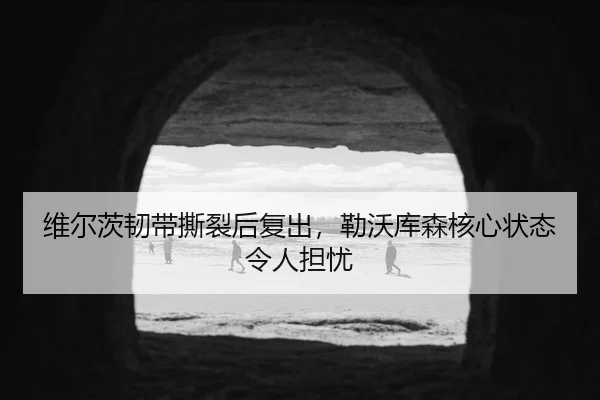 维尔茨韧带撕裂后复出，勒沃库森核心状态令人担忧