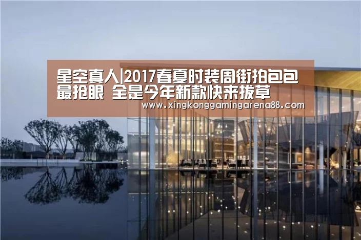 星空真人|2017春夏时装周街拍包包最抢眼 全是今年新款快来拔草(图4) 星空官网